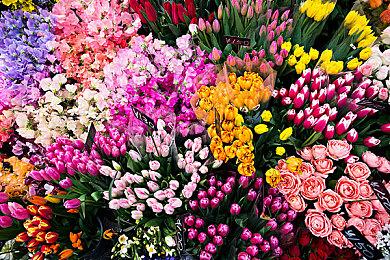 暴雪赚翻！《魔兽大作战》手游火爆 日收入超700万