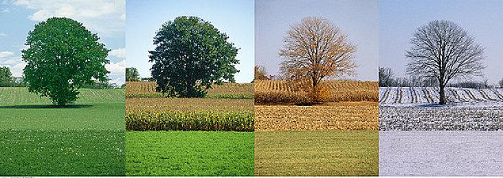 《糟糕！他们太爱我了怎么办？》Steam页面 Q2发售