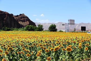 《驾驶拉力赛》4月多平台正式推出 拉力赛车名作